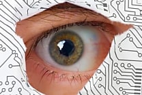 Le scandale NSA coûterait jusqu'à 180 Mds de dollars à l'industrie IT