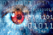 Croissance au ralenti pour le marché des logiciels de sécurité en 2013