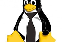 Linux Jobs Report Europe : 87% des recruteurs recherchent des experts