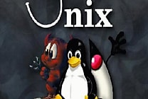 UNIX s'invite sur les microcontrôleurs PIC32