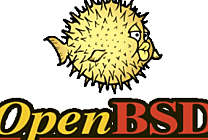 OpenBSD 5.8 s'intéresse aux puces MIPS multicoeurs