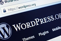 WordPress anime 25 % du web