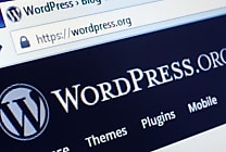WordPress anime 25 % du web