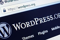 Wordpress se rénove en JavaScript