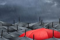 Audits de licences : pas plus nombreux, mais plus agressifs