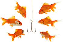 Le phishing a explosé en France en 2014