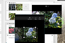 Microsoft Sway arrive en mouture définitive. sous Windows 10