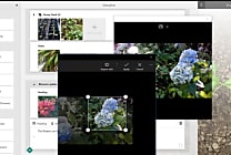 Microsoft Sway arrive en mouture définitive. sous Windows 10