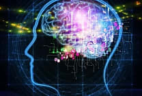 Les leçons d'intelligence artificielle de Facebook