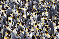 Linux 4.5 met le feu aux cartes graphiques AMD