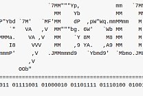 BusyBotNet, le BusyBox des routeurs piratés ?
