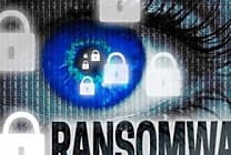 Le ransomware Bad Rabbit saute sur l'Europe de l'Est