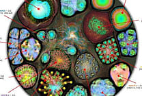 Puces pour le machine learning (IA) : Graphcore séduit les investisseurs