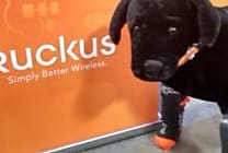 Après Brocade, Ruckus Wireless passe entre les mains de Arris