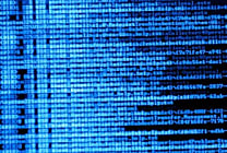 Intelligence artificielle : Elasticsearch succombe au machine learning