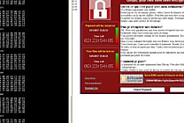 Un expert en sécurité français trouve une parade à WannaCry. sous XP