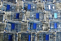 Que peut faire la grande distribution face au Big Data d'Amazon ? (tribune)