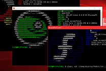 L'OS Linux Ubuntu s'invite sur le Windows Store de Microsoft