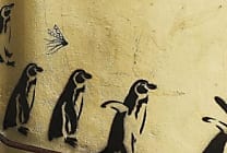 SQL Server 2017 de Microsoft débarque sur Linux