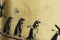 SQL Server 2017 de Microsoft débarque sur Linux