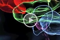 Informatique neuromorphique: une synapse artificielle  [...]