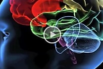 Informatique neuromorphique: une synapse artificielle développée par les  [...]