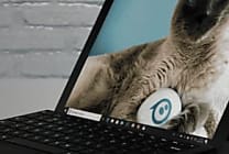 Microsoft Surface Pro 6 : pas de port USB-C mais des CPU à 4 coeurs
