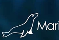 Base de données analytique : MariaDB absorbe MammothDB