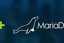 Base de données analytique : MariaDB absorbe MammothDB