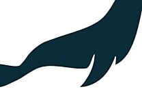 Base de données : MariaDB lance MariaDB Enterprise Server 10.4