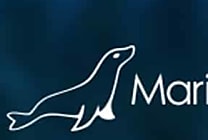 Base de données : MariaDB Platform X4 passe au cloud natif