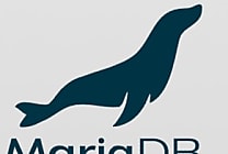 DBaaS : MariaDB lance SkySQL pour Google Cloud Platform