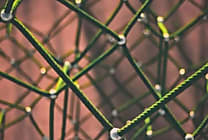 Visibilité et analyse du réseau, élément clé de la transformation numérique