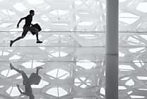Développement : comment le DevOps sert l'agilité du business