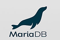Base de données : MariaDB lève 25 millions $ de plus
