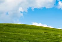 Windows XP : le code source publié à l'insu de Microsoft