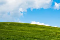Windows XP : le code source publié à l'insu de Microsoft