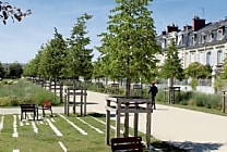 Les espaces verts : poumons des collectivités