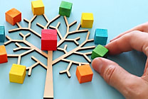Société à mission : un nouveau modèle d'entreprise qui passe la barre des  [...]