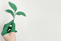Seedtag réduit l'empreinte carbone de la publicité en ligne