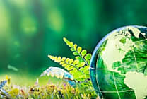 Abracadaracks, racks d'occasion et équipements d'entrepôt recyclés