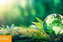 Abracadaracks, racks d'occasion et équipements d'entrepôt recyclés