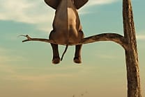 Gestion des risques : 9 dirigeants sur 10 confiants quant à  [...]