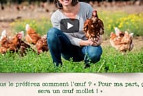 ' C'est dans la Boîte ! ' pour Matines
