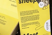 [Tribune] Adopter un mouton Sheep pour sauver la planète