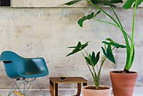 [Strat-up sourcing] La Grande Serre met les bureaux au vert