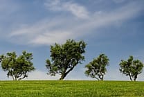 Comment éco-concevoir ses produits ?