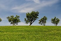 Comment éco-concevoir ses produits ?