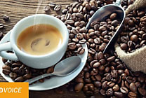 Votre tasse de café est-elle bonne pour l'environnement ?