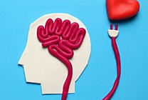 Les consommateurs oscillent entre une recherche d'efficacité et  [...]